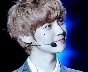 鹿晗爆料韩国人视频大全,韩国人视频大全背后的真实故事  第1张